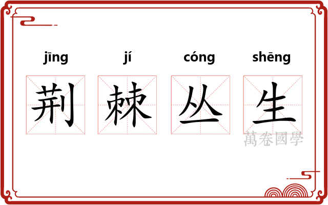 荆棘丛生