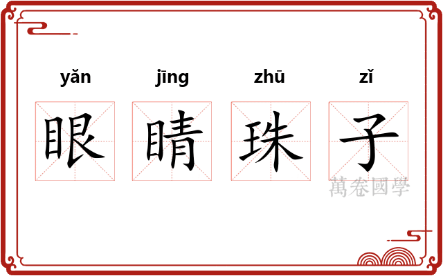 眼睛珠子 眼睛珠子