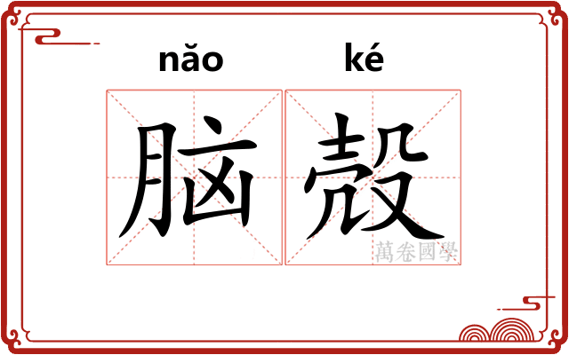 脑殻