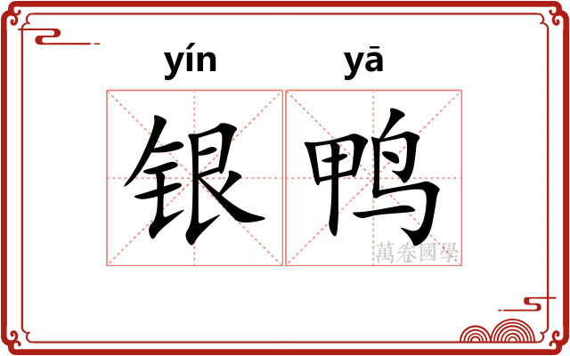 银鸭