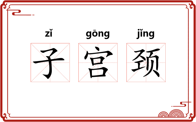 子宫颈
