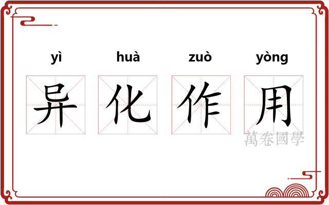 异化作用