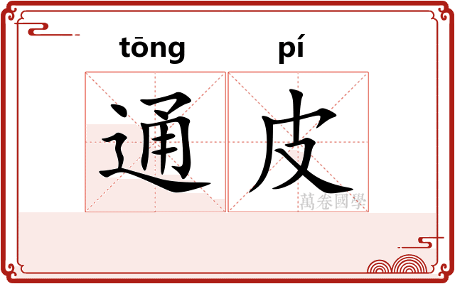通皮