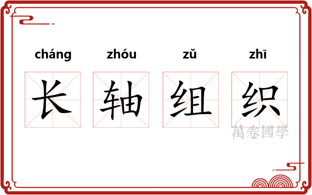长轴组织 长轴组织