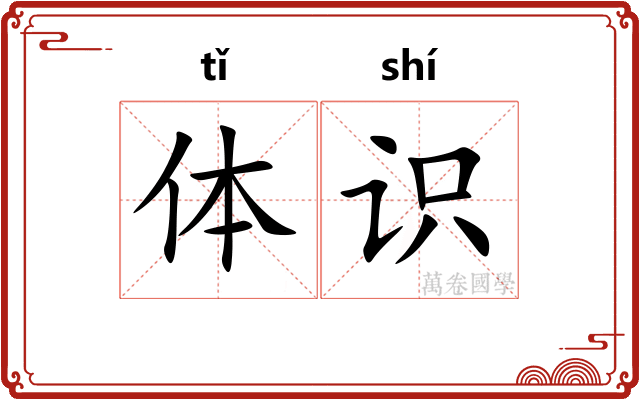 体识