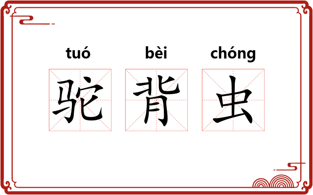 驼背虫
