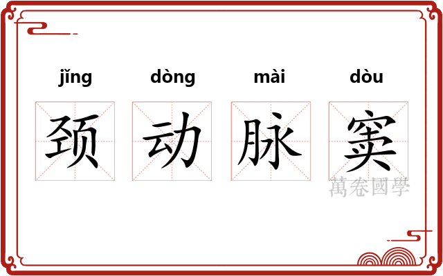 颈动脉窦