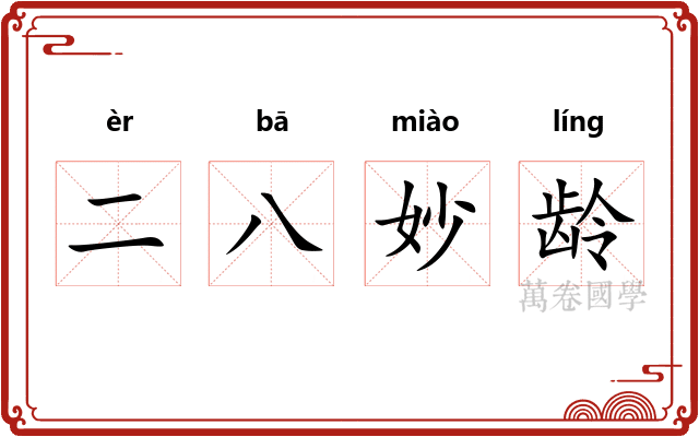 二八妙龄