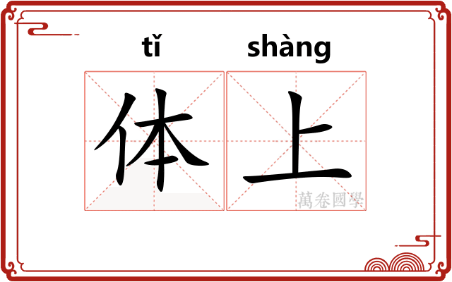 体上