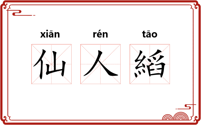 仙人縚