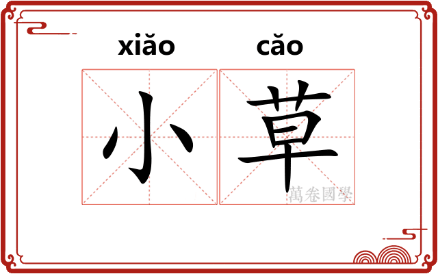 小草 小草