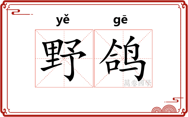 野鸽
