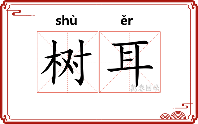 树耳 树耳