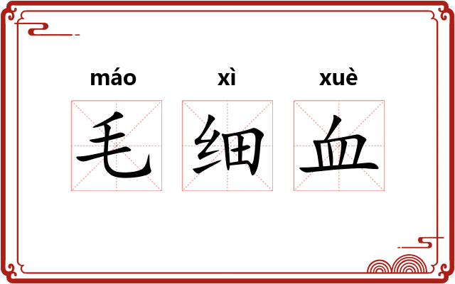 毛细血