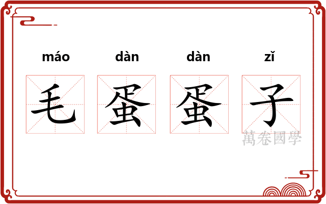 毛蛋蛋子