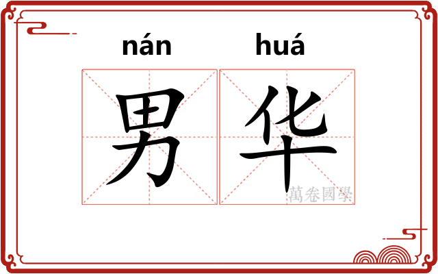 男华
