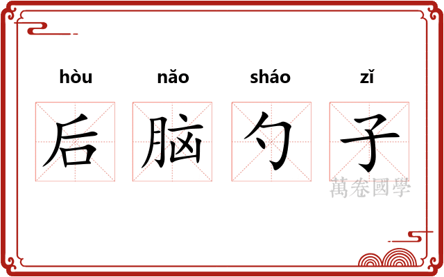 后脑勺子