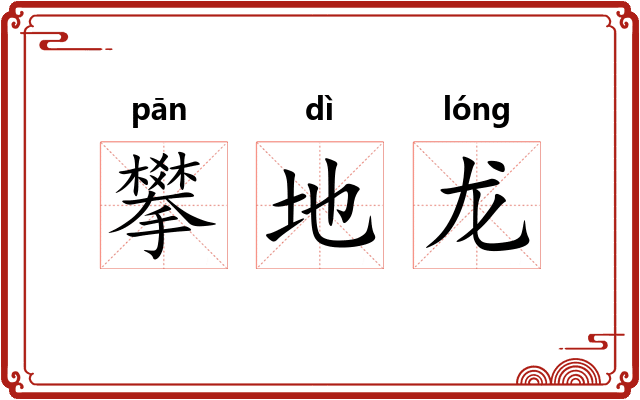 攀地龙
