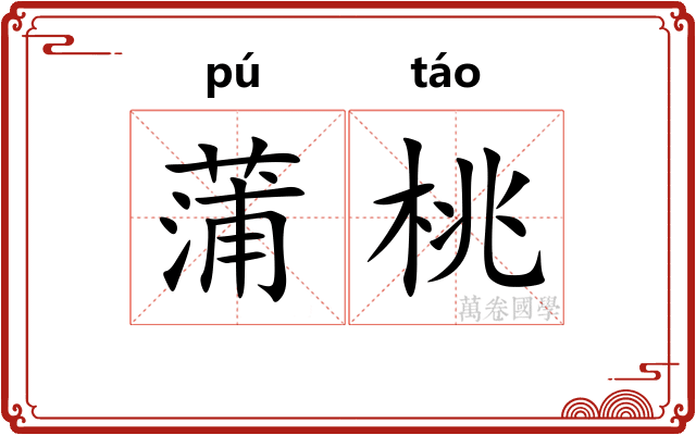 蒲桃