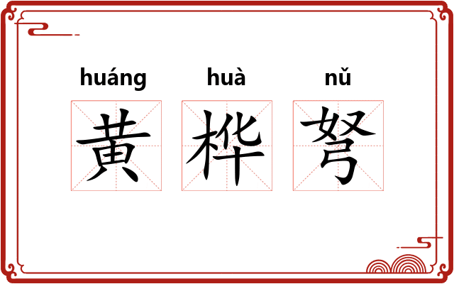 黄桦弩 黄桦弩