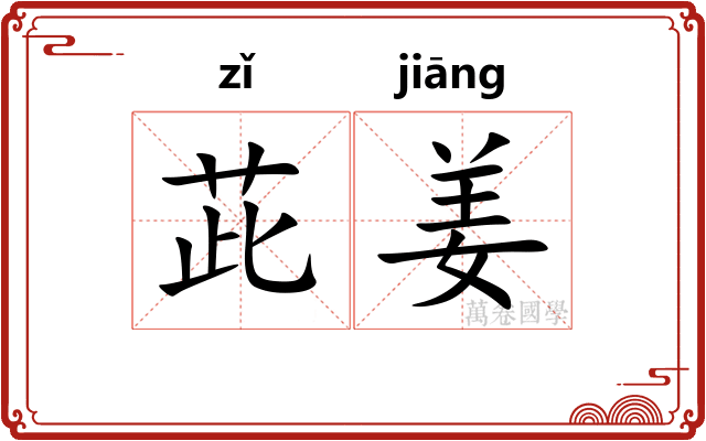 茈姜