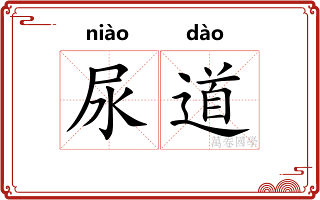 尿道