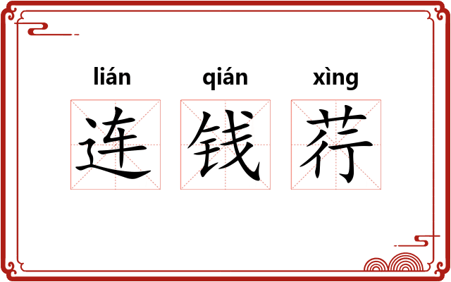 连钱荇