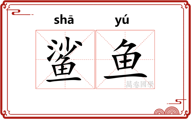 鲨鱼