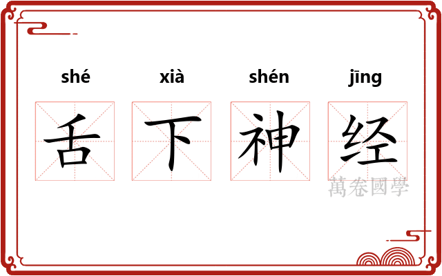 舌下神经