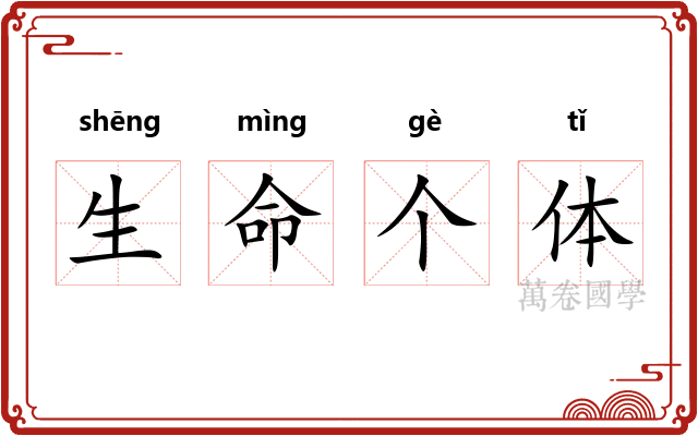生命个体