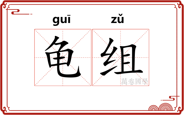 龟组 龟组