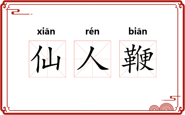 仙人鞭