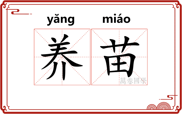 养苗