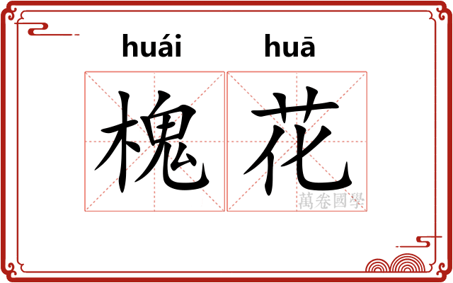槐花 槐花