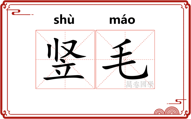 竖毛 竖毛