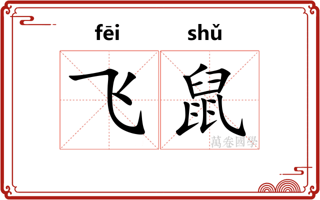 飞鼠 飞鼠