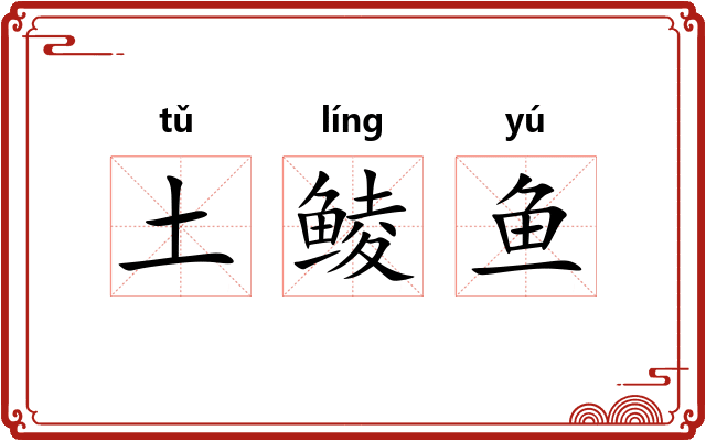 土鲮鱼 土鲮鱼