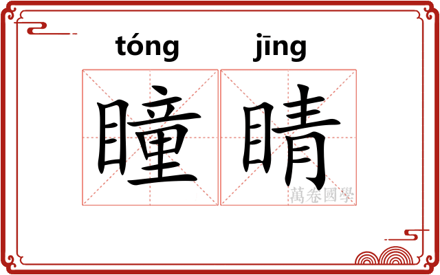 瞳睛