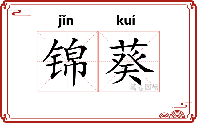 锦葵 锦葵