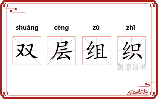 双层组织