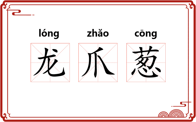 龙爪葱