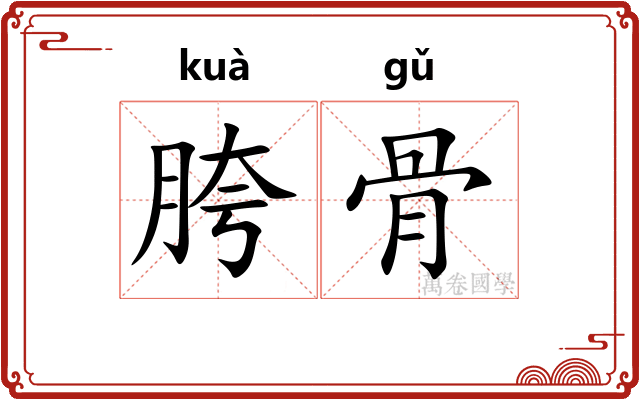 胯骨