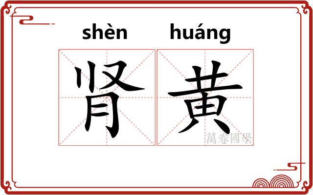 肾黄