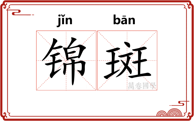 锦斑