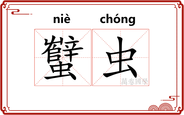蠥虫
