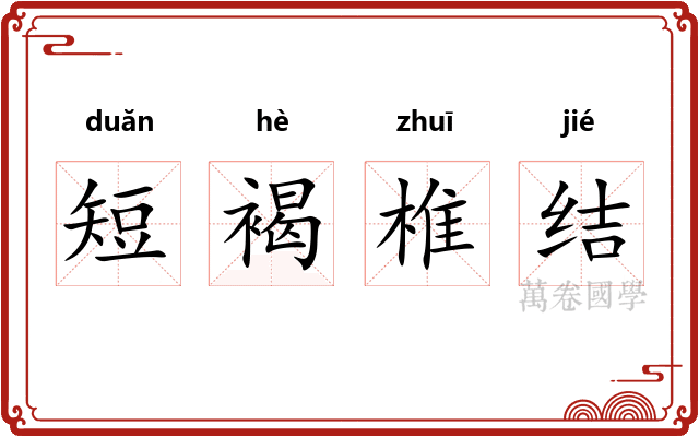 短褐椎结