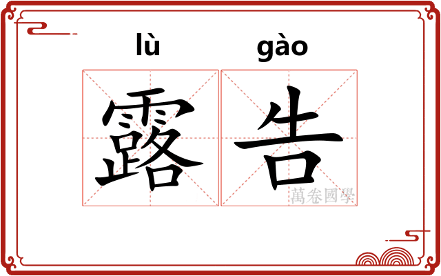 露告