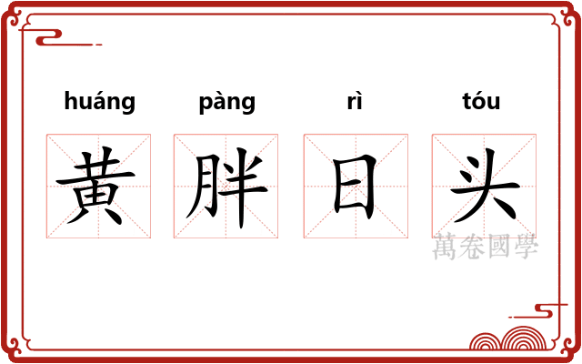 黄胖日头