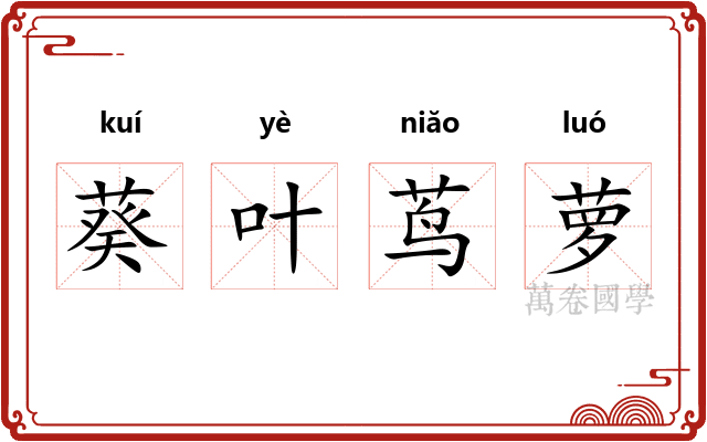 葵叶茑萝