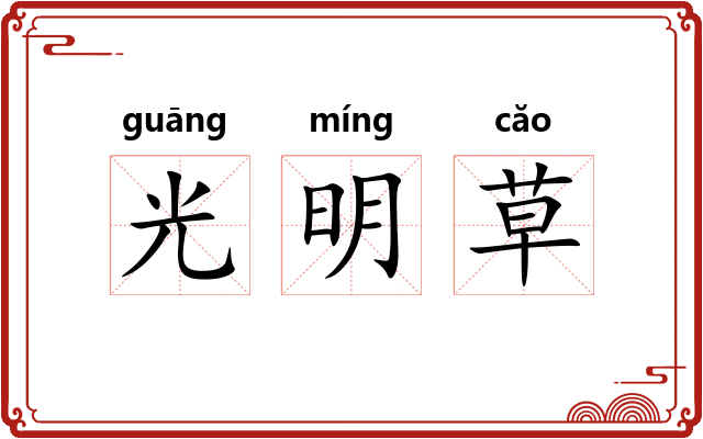 光明草 光明草